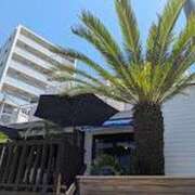 ヒメ日記 2025/04/29 01:22 投稿 あさひ 奥様電車