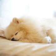 ヒメ日記 2025/05/10 00:56 投稿 あさひ 奥様電車