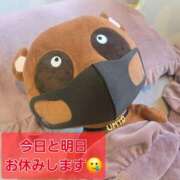 ヒメ日記 2026/01/17 11:35 投稿 ちか クラブダイアモンド新宿店