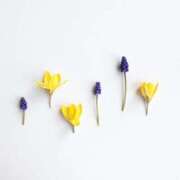 ヒメ日記 2024/12/07 14:21 投稿 羽菜(はな) グランドオペラ福岡