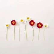 ヒメ日記 2024/12/07 14:51 投稿 羽菜(はな) グランドオペラ福岡