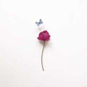 ヒメ日記 2024/12/08 13:51 投稿 羽菜(はな) グランドオペラ福岡