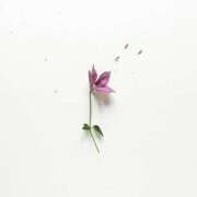 ヒメ日記 2024/12/08 14:03 投稿 羽菜(はな) グランドオペラ福岡