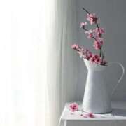 ヒメ日記 2024/12/14 13:02 投稿 羽菜(はな) グランドオペラ福岡