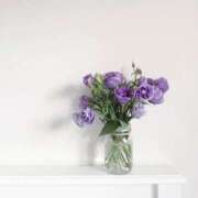 ヒメ日記 2024/12/22 13:07 投稿 羽菜(はな) グランドオペラ福岡