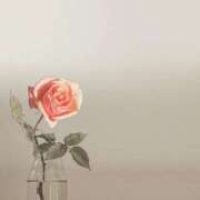 ヒメ日記 2024/12/28 18:03 投稿 羽菜(はな) グランドオペラ福岡