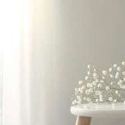 ヒメ日記 2024/12/29 21:02 投稿 羽菜(はな) グランドオペラ福岡