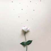 ヒメ日記 2025/01/12 13:06 投稿 羽菜(はな) グランドオペラ福岡