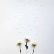 ヒメ日記 2025/01/14 19:06 投稿 羽菜(はな) グランドオペラ福岡