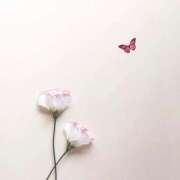 ヒメ日記 2025/01/15 19:01 投稿 羽菜(はな) グランドオペラ福岡