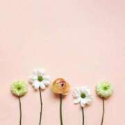 ヒメ日記 2025/01/20 18:03 投稿 羽菜(はな) グランドオペラ福岡