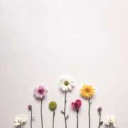 ヒメ日記 2025/01/20 18:51 投稿 羽菜(はな) グランドオペラ福岡