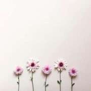 ヒメ日記 2025/01/23 01:21 投稿 羽菜(はな) グランドオペラ福岡