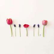 ヒメ日記 2025/03/08 17:31 投稿 羽菜(はな) グランドオペラ福岡