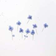 ヒメ日記 2025/03/11 18:34 投稿 羽菜(はな) グランドオペラ福岡