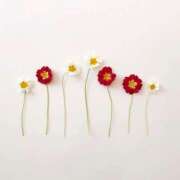 ヒメ日記 2025/03/12 18:04 投稿 羽菜(はな) グランドオペラ福岡