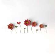 ヒメ日記 2025/03/13 14:02 投稿 羽菜(はな) グランドオペラ福岡