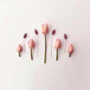 ヒメ日記 2025/03/26 16:31 投稿 羽菜(はな) グランドオペラ福岡