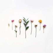 ヒメ日記 2025/03/31 14:03 投稿 羽菜(はな) グランドオペラ福岡