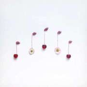 ヒメ日記 2025/03/31 14:22 投稿 羽菜(はな) グランドオペラ福岡