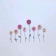 ヒメ日記 2025/04/01 21:49 投稿 羽菜(はな) グランドオペラ福岡