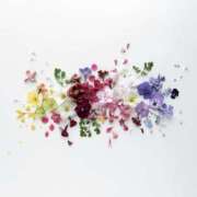 ヒメ日記 2025/04/04 19:36 投稿 羽菜(はな) グランドオペラ福岡