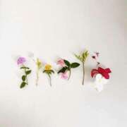 ヒメ日記 2025/04/06 13:41 投稿 羽菜(はな) グランドオペラ福岡