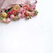 ヒメ日記 2025/04/11 17:51 投稿 羽菜(はな) グランドオペラ福岡