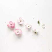 ヒメ日記 2025/04/27 17:51 投稿 羽菜(はな) グランドオペラ福岡