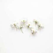 ヒメ日記 2025/04/29 18:41 投稿 羽菜(はな) グランドオペラ福岡