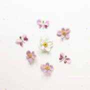 ヒメ日記 2025/05/03 17:02 投稿 羽菜(はな) グランドオペラ福岡