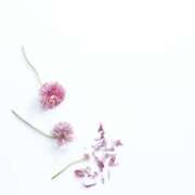 ヒメ日記 2025/05/05 01:10 投稿 羽菜(はな) グランドオペラ福岡