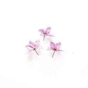 ヒメ日記 2025/05/06 15:41 投稿 羽菜(はな) グランドオペラ福岡