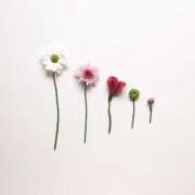 ヒメ日記 2025/05/13 18:31 投稿 羽菜(はな) グランドオペラ福岡