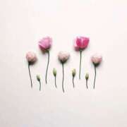 ヒメ日記 2025/05/13 18:51 投稿 羽菜(はな) グランドオペラ福岡