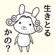 ヒメ日記 2025/02/06 19:52 投稿 きい 妻天 日本橋店