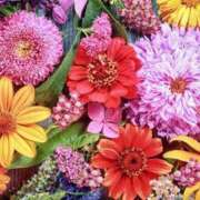 ヒメ日記 2025/03/27 23:36 投稿 きい 妻天 日本橋店