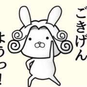 ヒメ日記 2025/05/13 00:15 投稿 きい 妻天 日本橋店