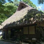 ヒメ日記 2025/07/24 23:18 投稿 きい 妻天 日本橋店