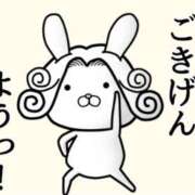 ヒメ日記 2025/11/10 12:29 投稿 きい 妻天 日本橋店