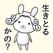 きい 今月の予定🗓️ 妻天 日本橋店