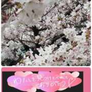 ヒメ日記 2026/03/30 16:36 投稿 まや club さくら日本橋店