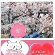 ヒメ日記 2026/04/11 14:18 投稿 まや club さくら日本橋店