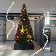 ヒメ日記 2024/12/14 14:48 投稿 玲(れい) 八王子人妻城