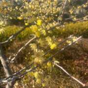 ヒメ日記 2025/02/07 12:19 投稿 玲(れい) 八王子人妻城