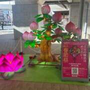 ヒメ日記 2025/02/07 15:03 投稿 玲(れい) 八王子人妻城