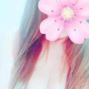 ヒメ日記 2025/04/15 09:33 投稿 玲(れい) 八王子人妻城