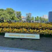 ヒメ日記 2025/08/23 11:54 投稿 玲(れい) 八王子人妻城