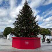 ヒメ日記 2025/11/23 12:03 投稿 玲(れい) 八王子人妻城