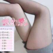 ヒメ日記 2025/04/12 14:49 投稿 叶　さくら OLピンクコレクション